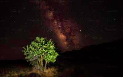 Στο Οροπέδιο του Καθαρού την Νύχτα